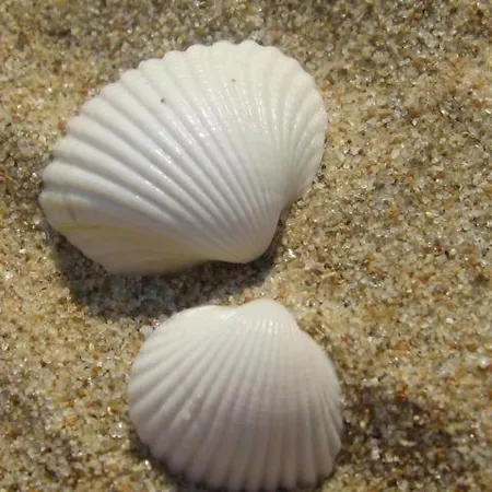 Harmony 阳光海滩